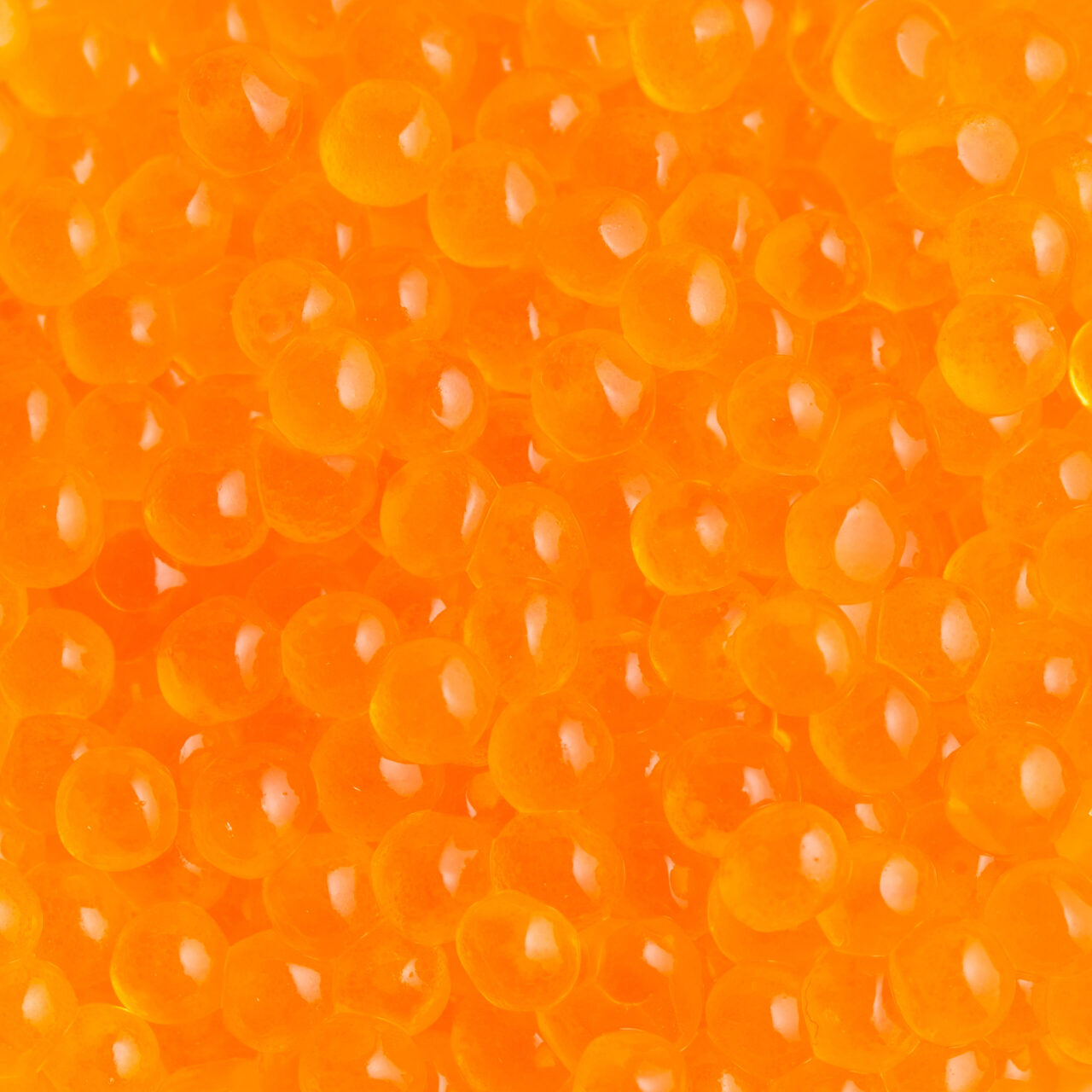 Trout Roe - Petrossian Restaurant - New York City