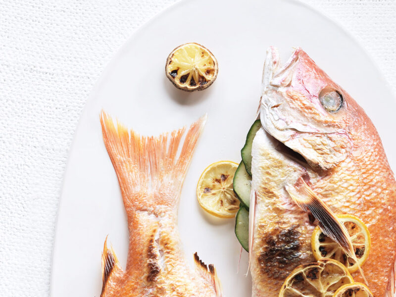 Salmon Restaurant Fishes